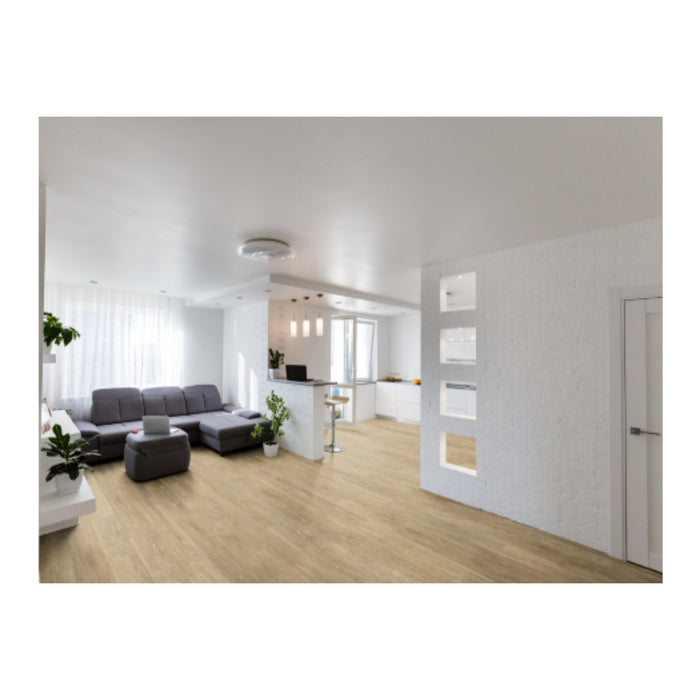 einzA Exklusiv Design Dresden Dryback